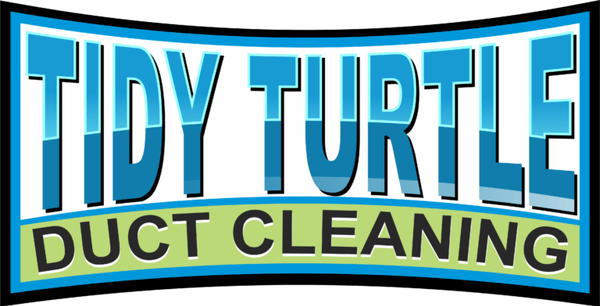 Tidy Turtle Logo